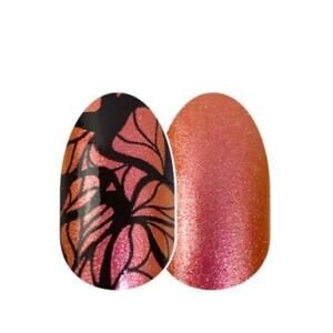 Color Street Wing It On Shimmer Duochrome Butterfly Design Nail Polish Strips